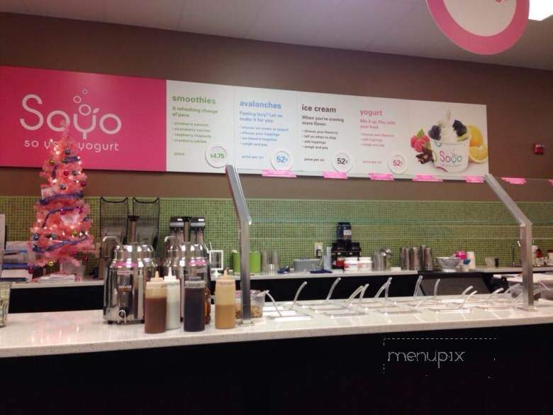 SOYO So Your Yogurt - Centerville, OH