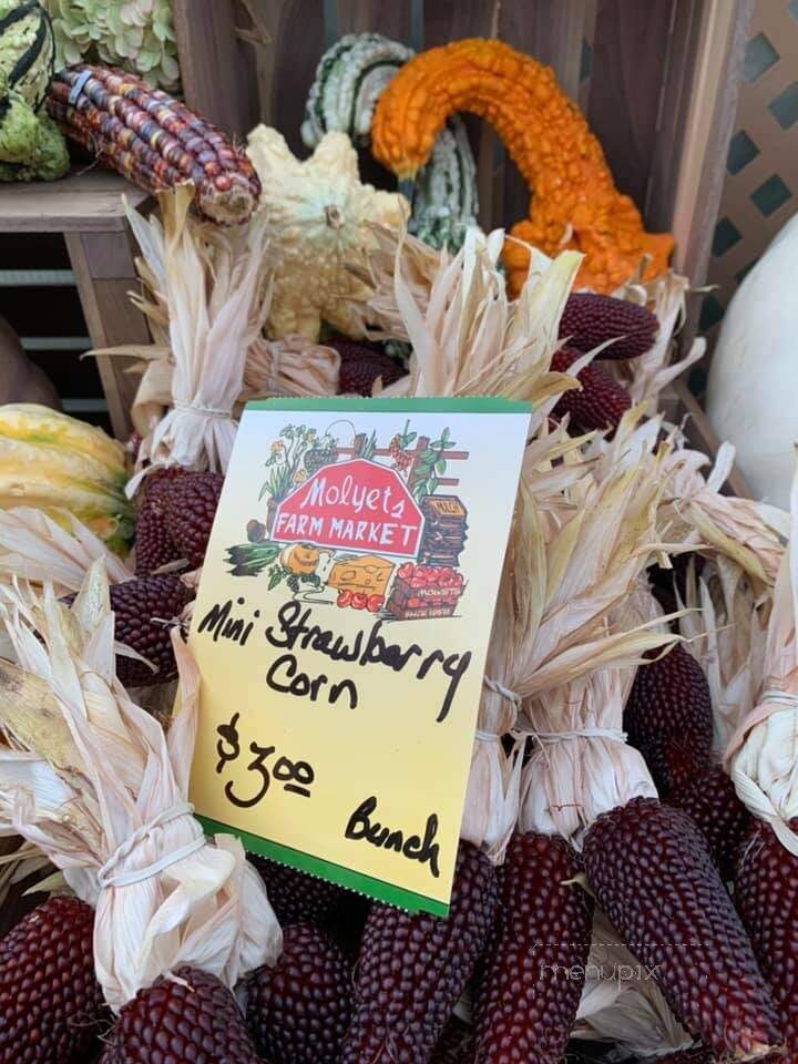 Molyet's Farm Market - Tiffin, OH